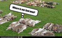 So, I was trying to figure out where I originally found the image that I turned into <a href="https://knowyourmeme.com/photos/504212-where-is-your-god-now">this</a>, and I wound up finding <a href="http://deadspin.com/tag/great-easter-bunny-hunt"><i>this</i></a>. The legendary Australian hatred for rabbits is as strong as ever, apparently. (Yes, I know it's actually New Zealand, but I'd imagine that New Zealanders would dislike rabbits for similar reasons.)

So, I went and made a quick lol out of it. You're welcome.