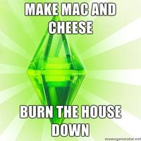 MAKE MACAND CHEESE BURN THE HOUSE DOWN memegenerator.net