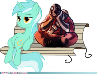 MyLittle Brony.com