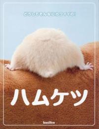 via "basilico.co.jp":http://www.basilico.co.jp/book/books/9784862382085.html