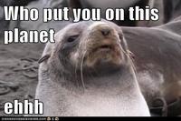 Who out youon this planet ehhh ICHN HAS CH E EZ B UR GER.COM 흖 류 e