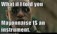 What if I told you Mayonnaise IS an instrument ICANHASCHEEZELI R GER. COM'$