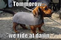 TomimoroW Werideat dawn