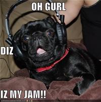 OH GURL DiZ IZ MY JAM!! 10: A N H AS CHEEZBURGER.COM '