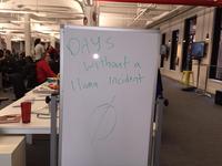 thot a ama Incident hha Llama Carillons Retirement Community Llamas on the loose