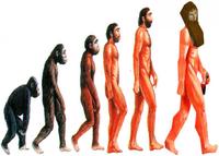 gnome evolution