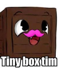 Tiny boxtim