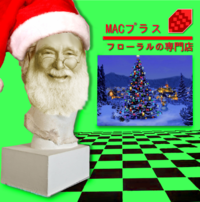 Floral Shoppe (フローラルの専門店)