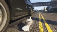 "source":http://cheezburger.com/8488077312/video-games-mine
