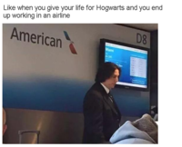 Like when you give your life for Hogwarts and you end up working in an airline American D8