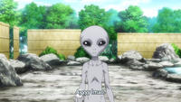 See also "Ayy LMAO":https://knowyourmeme.com/memes/ayy-lmao
See also "LOLfansubs / Failsubs":https://knowyourmeme.com/memes/lolfansubs-failsubs
%{font-size:8pt}Not submitting to that gallery because it wasn't actually released with these subs.%
_Obviously_ the best part from OVA 3.
I can't remember the specific context. All I remember is that it says "Tomodachi." / "Friend." and I think they were talking about something they think they saw and figuring out what it was... or something... maybe.
Also, "source.":https://www.reddit.com/r/anime/comments/31663i/spoilers_nisekoi_ova_ova_3_discussion (top comment)
I think peaceshot's the subber.