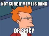 NOT SURE IF MEMEIS DANK ORSPICY