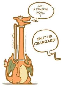 AMI A DRAGON NOW... SHUT UP CHARIZARD!