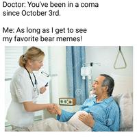 Doctor: You've been in a coma since October 3rd Me: As long as l get to see my favorite bear memes!