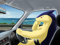 Typhlosion driving a car