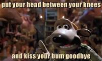 put your head between your knees and kiss your bum goodbye