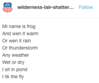 wilderness-lair-shatter... Follow Mi name is frog And wen it warm Or wen it rain Or thunderstorm Any weather Wet or dry I sit in pond I lik the fly