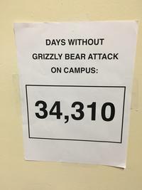 DAYS WITHOUT GRIZZLY BEAR ATTACK ON CAMPUS: 1 34,310
