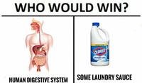 WHO WOULD WIN? OR SPLASH-LESS HUMAN DIGESTIVESYSTEMSOME LAUNDRY SAUCE