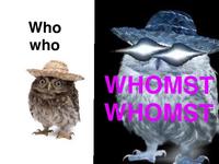Who who WHOMST WHOMST