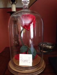 Beauty & The Beast Theme