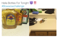Hella Bottles Hella Bottles For Tonight! #Bowwowchallenge meiter HOT N WHISKY TORONTO, ONTARIO CANADA 50mL,400% ALC BY voi 180 Ron