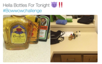 Hella Bottles For Tonight! #Bowwowchallenge meiter HOT N WHISKY TORONTO, ONTARIO CANADA 50mL,400% ALC BY voi 180 Ron