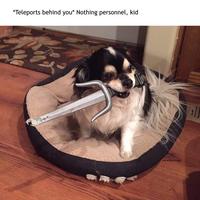 *Teleports Behind You* Nothing Personal, Kid