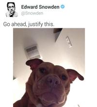 Edward Snowden @Snowden Go ahead, justify this.