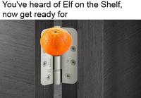 You've Heard of the Elf on the Shelf...