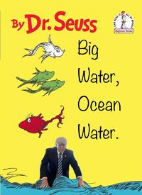 Dr Seuss book cover meme of Big Water Big Ocean