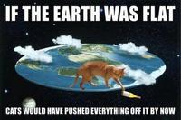 IF THE EARTH WAS FLAT CATS WOULD HAVE PUSHED EVERYTHING OFF IT BY NOWW