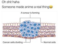 Oh s--- haha Someone made anime a real thing A tumour is forming Cancer cells dividing Normal cells