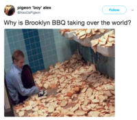 pigeon 'boy' alex Follow ) ﹀ @AlexDaPigeon Why is Brooklyn BBQ taking over the world?