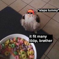 *slaps tummy* it fit many lööp, brøther