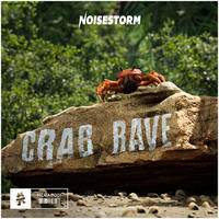 OISESTORM CRAB AVE MCRABO01