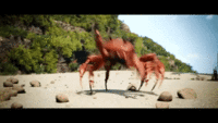 Crab Rave