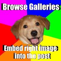 Browse Galleries Embed right into the post