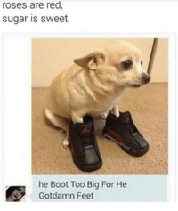 roses are red sugar is sweet he Boot Too Big For He Gotdamn Feet