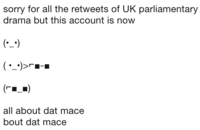 sorry for all the retweets of UK parliamentary drama but this account is now all about dat mace bout dat mace