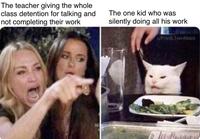 What is the Cat Meme? The 'Woman Yells At Cat' Meme, Explained