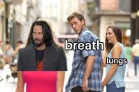 breath lungs Se Puiter