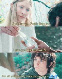 And for you, Frodo Baggins, LOTHLORIENCE give you my bath water... for all your thirsty Fellowship boys