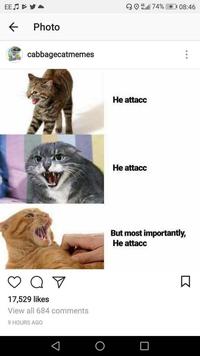 74 % 08:46 EE J Photo cabbagecatmemes He attacc He attacc But most importantly, He attacc 17,529 likes View all 684 commentS 9 HOURS AGO K O