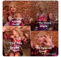The Ill Fight Anybody Drunk "The Messy Drunk The Fun Drunk "The Paranoid Drunk" PIC COLLAGE