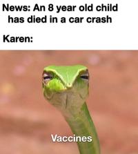 News: An 8 year old child has died in a car crash Karen: Vaccines