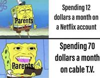 Spending 12 dollars a month on Parents a Netflix account Spending 70 dollars a month Parents on cable T.V.