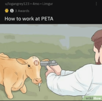 u/logangrey123 4mo i.imgur S 3 Awards How to work at PETA wiki How