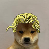 Yoshikage Kira Dogwifhat