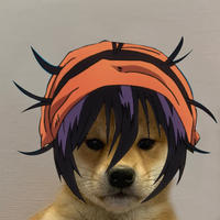 Narancia Dogwifhat